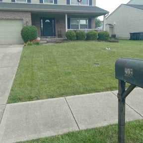 residential landscaping by Constructive landscaping llc reviewed on August 20, 2025
