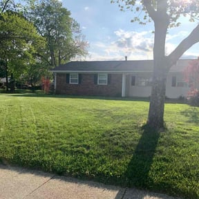 lawn care services by Green Environment reviewed on August 17, 2025