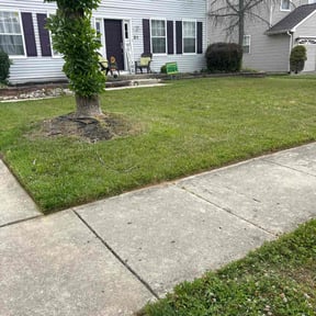 turf care by Keepn It Green reviewed on May 9, 2024