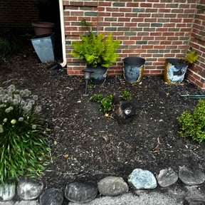 Flower Bed Weeding by Quick cuts reviewed on July 28, 2026