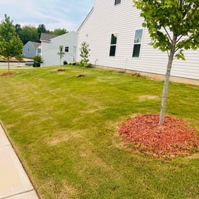 landscaping by Mom and Pop&#039;s Mulch Yard reviewed on August 22, 2024