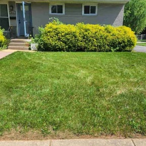 landscaping by Bros lawn care 2 reviewed on August 18, 2025
