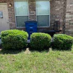 Bush Trimming by Yards Done Daily reviewed on August 16, 2025