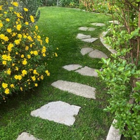 lawn care by Jabamm LLC reviewed on August 20, 2025