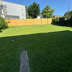 gardening service by Brigzy's Lawn Care reviewed on August 20, 2025
