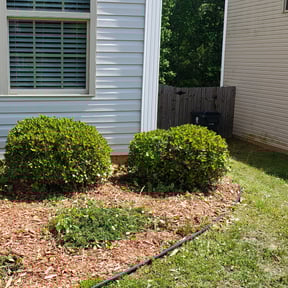 Bush Trimming by Gonzalez Landscaping reviewed on August 16, 2025