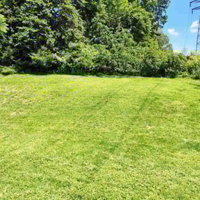 gardening service by Richard Buricca reviewed on August 21, 2025