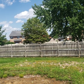 Bush Trimming by ClC Lawncare service reviewed on October 18, 2023