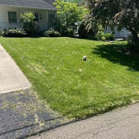 lawn care by Bella Vista Landscape Services reviewed on October 19, 2023