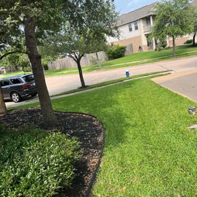 yard service by Fine Cut Landscaping LLC reviewed on August 16, 2025
