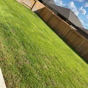 landscaping services by Pine Forest Lawn Care reviewed on August 20, 2025