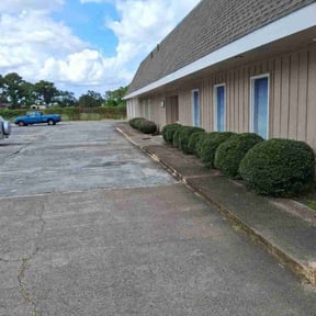 Bush Trimming by Household Maintenance &amp; Lawn Care Services reviewed on October 22, 2025