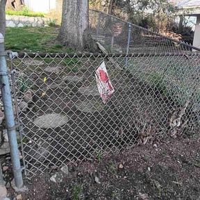 Leaf Removal by Aren's lawn care. reviewed on March 13, 2026