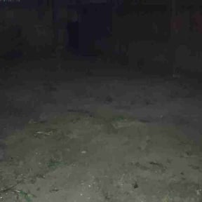 Leaf Removal by R &amp; A landscaping reviewed on September 26, 2025