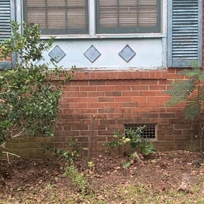 Bush Trimming by MowDeal reviewed on August 21, 2025