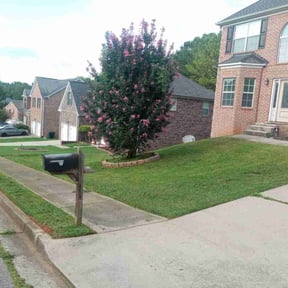 lawn service by We Are The Best Lawn Services reviewed on March 20, 2024