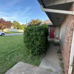 Bush Trimming by Green Dream Landscaping LLC reviewed on May 11, 2026