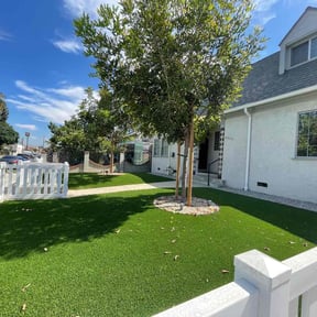yard service by AYS reviewed on August 18, 2025