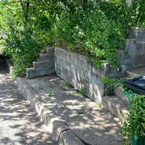 Bush Trimming by Explained Landscaping reviewed on June 27, 2026