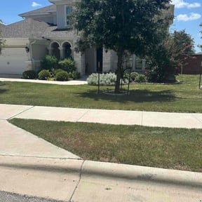 yard service by Mow & Go reviewed on August 17, 2025