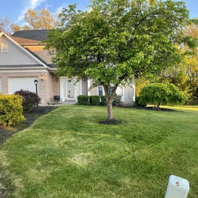 lawn care services by Exclusive Lawn Service reviewed on May 2, 2024