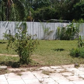 Bush Trimming by MM Lawn Cutting reviewed on August 17, 2025