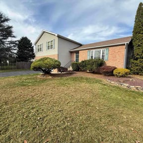 Bush Trimming by Brother's In Lawns reviewed on November 21, 2025