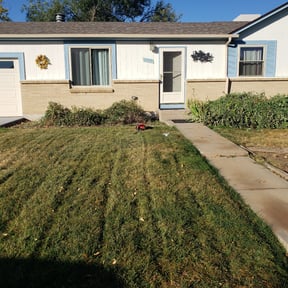Bush Trimming by Inspo Lawncare reviewed on August 16, 2025