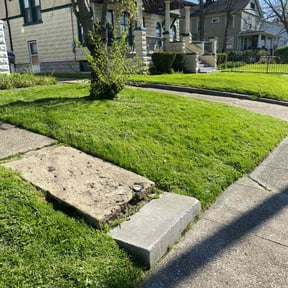 turf maintenance by SCYARDS LLC reviewed on January 3, 2024