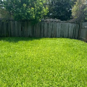 yard maintenance by The Boot Lawn Care reviewed on August 19, 2025