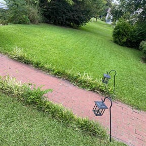 grass cutting by JC Lawn Care reviewed on September 1, 2023