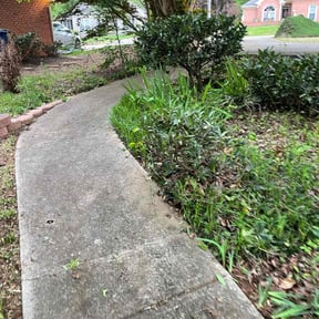 Bush Trimming by Tyler lawn service reviewed on August 17, 2025