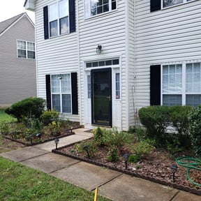 Bush Trimming by Green Missions Landscaping LLC reviewed on August 15, 2025