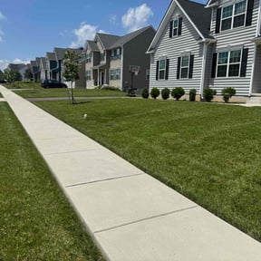 turf care by Professional Lands Llc reviewed on August 18, 2025