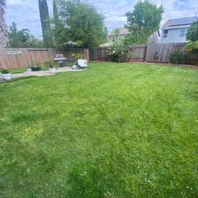 yard care by Jay's Lawn Care reviewed on August 16, 2025