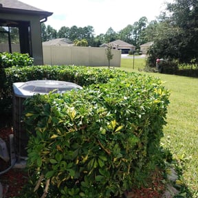 Bush Trimming by GreenSouth Maintenance reviewed on October 18, 2025