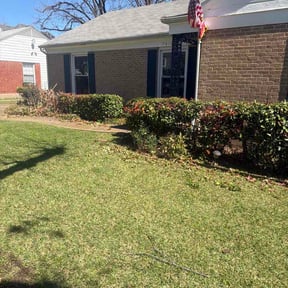 Bush Trimming by Junk360 reviewed on March 13, 2026