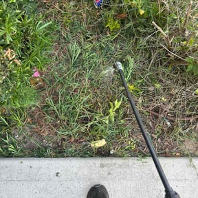 Flower Bed Weeding by Marquez Do It All reviewed on August 25, 2026