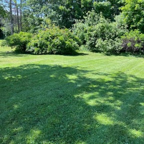 yard care by Lawnspire reviewed on August 18, 2025