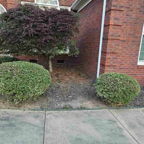 Bush Trimming by Carranza landscaping reviewed on April 26, 2026