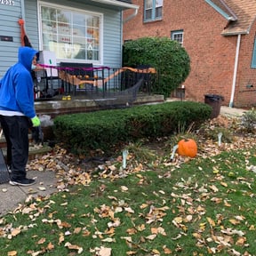 Bush Trimming by Jose Martinez Landscape Services reviewed on May 3, 2024