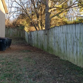 Bush Trimming by Love Landscaping reviewed on August 16, 2025