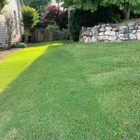 landscaping services by Cavender Landscaping reviewed on August 15, 2025