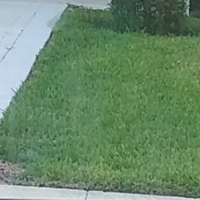 Bush Trimming by Sarmientos Landscaping reviewed on August 21, 2025