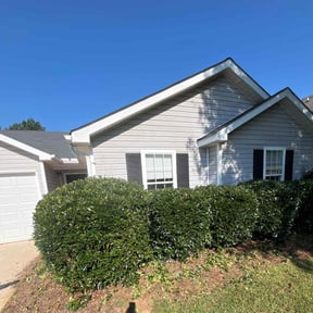 Bush Trimming by Ultimate Landscape Contractor  reviewed on November 24, 2025