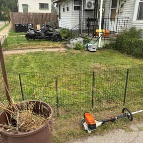 Leaf Removal by Simple lawn care reviewed on August 30, 2026