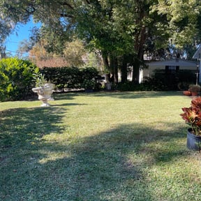 turf maintenance by T.R. Integrated Services reviewed on July 19, 2023