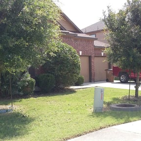 Bush Trimming by Dan's Lawn & Landscaping reviewed on August 20, 2025