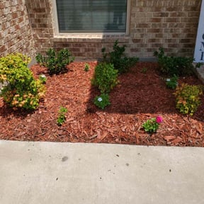 Bush Trimming by C&L landscaping reviewed on August 20, 2025