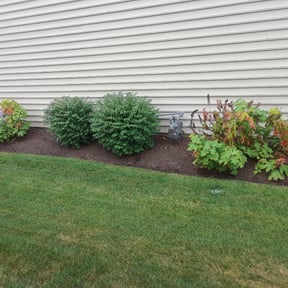 Flower Bed Weeding by Dortch Demo and cleanup reviewed on August 17, 2025